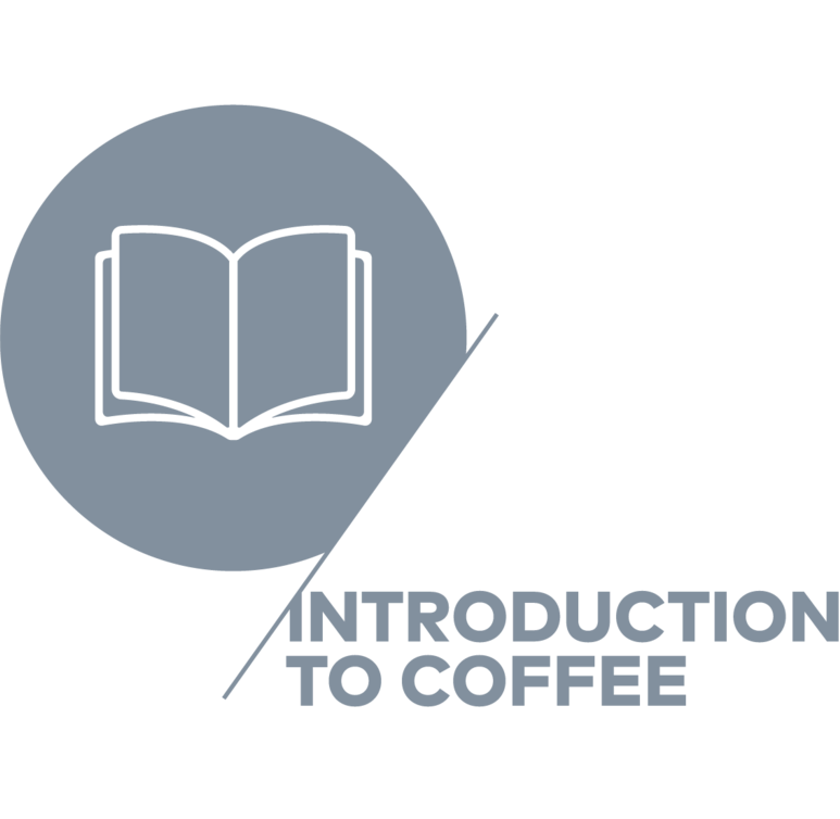 introduction to coffee